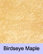 Birdseye Maple